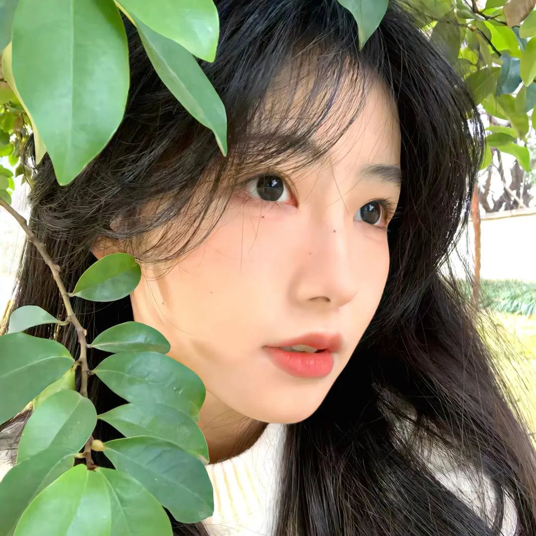 夏妍的秋天